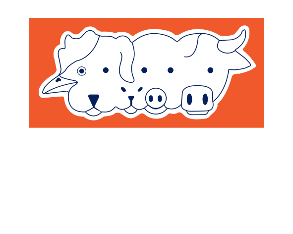logo amepa